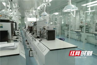 高質(zhì)量發(fā)展看山東丨臨沂 電商與傳統(tǒng)產(chǎn)業(yè)共探新技術(shù)開發(fā)之路